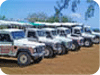 Island Safari Barbados