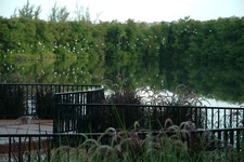 Graeme Hall Nature Sanctuary