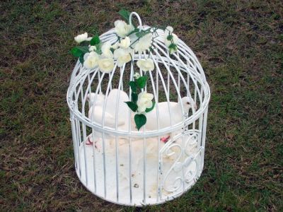 ceremonial rituals doves in a cage