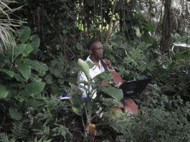 music chellist cortez