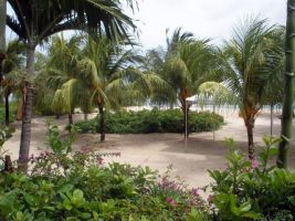 seaside coconut court