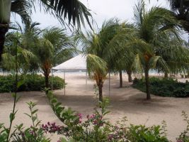 seaside coconut court