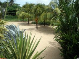 seaside coconut court