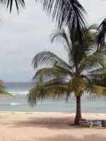 seaside coconut court