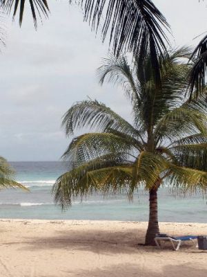 seaside coconut court
