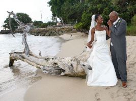 seaside sunset beach