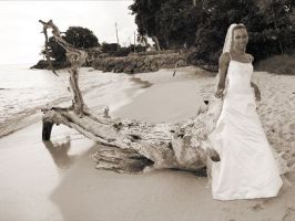 seaside sunset beach