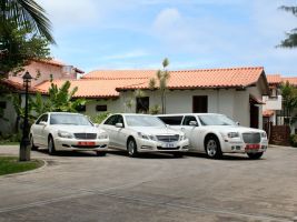 transport luxury collection