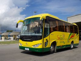 transport yellow bus