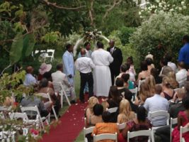 tropical garden andromeda garden ceremony