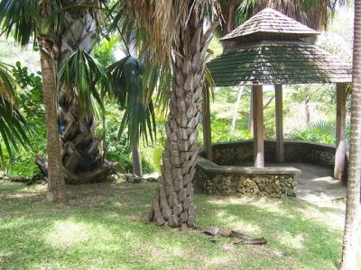 tropical garden andromeda garden gazebo