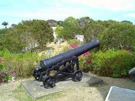 tropical garden gun hill cannon