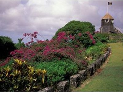 tropical garden gun hill signal station