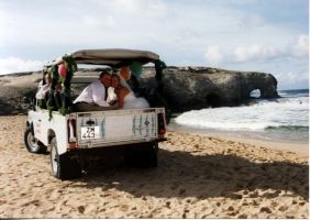 unique island safari