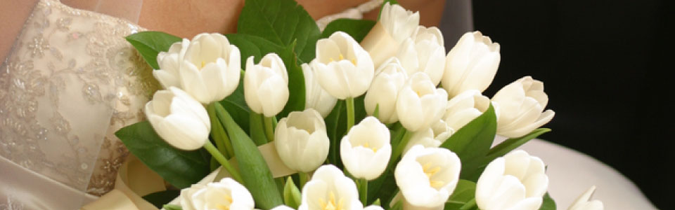 banner-06