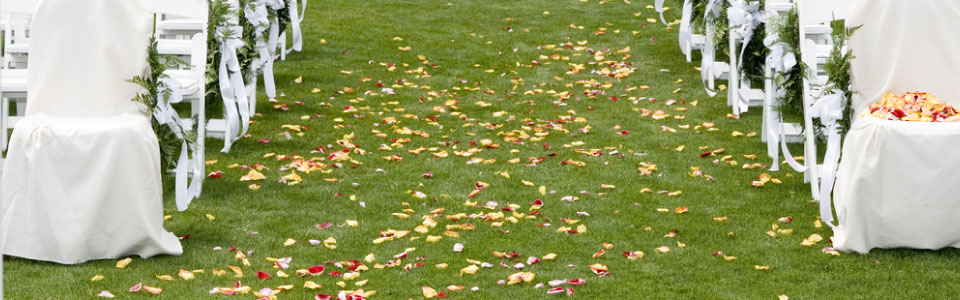 banner-11