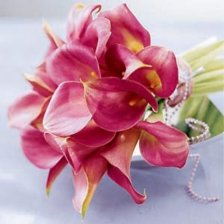 Flowers and Bouquets