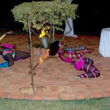 Limbo Dancers