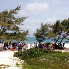 Seaside Wedding