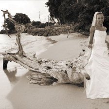 Seaside Wedding