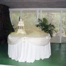 Tropical Garden Wedding