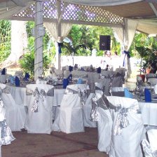 Tropical Garden Wedding