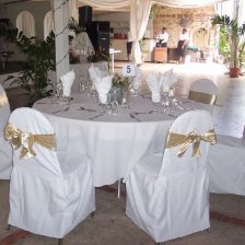 Tropical Garden Wedding