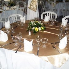 Tropical Garden Wedding