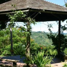 Tropical Garden Wedding