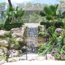 Tropical Garden Wedding