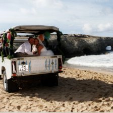 Safari Wedding