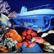 Submarine Wedding