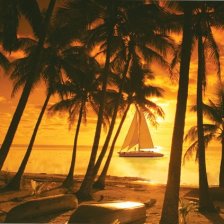 Sunset Cruise