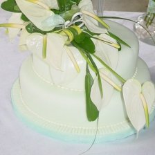 Anthurium Cake