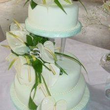 3 Anthurium with Mint Green Fodant