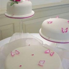 Butterfly Cake