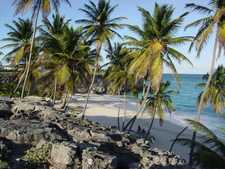 seaside-cliff-top